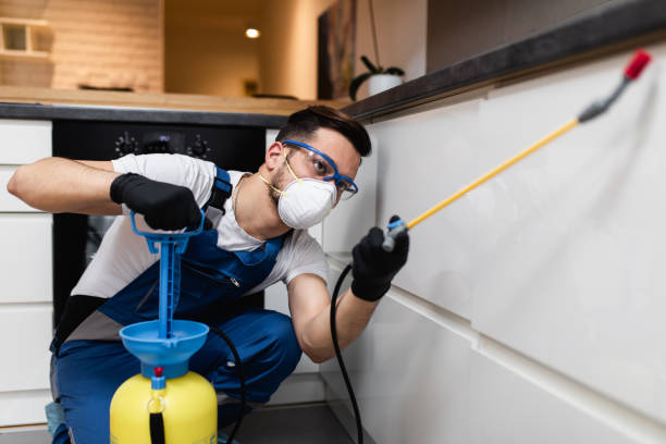 Best Termite Control Services  in Spring House, PA