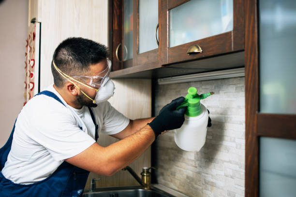 Pest Control Cost in Spring House, PA