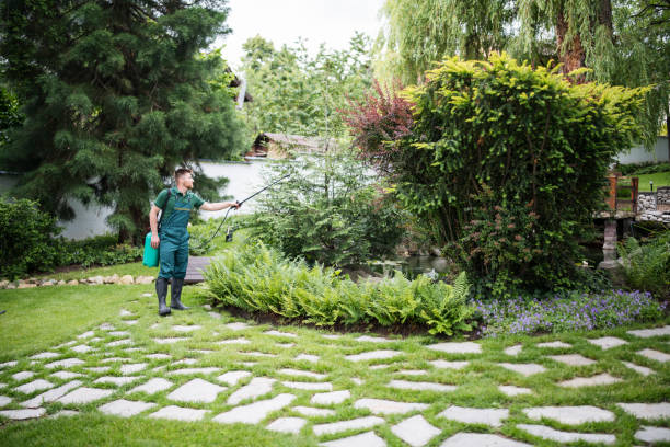 Best Local Pest Control Services  in Spring House, PA