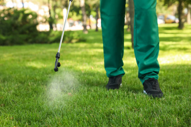 Best Pest Control Near Me in Spring House, PA