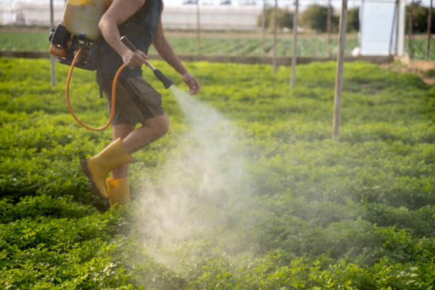 Best Affordable Pest Control Services  in Spring House, PA