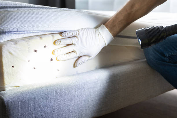 Best Pest Control Treatment  in Spring House, PA